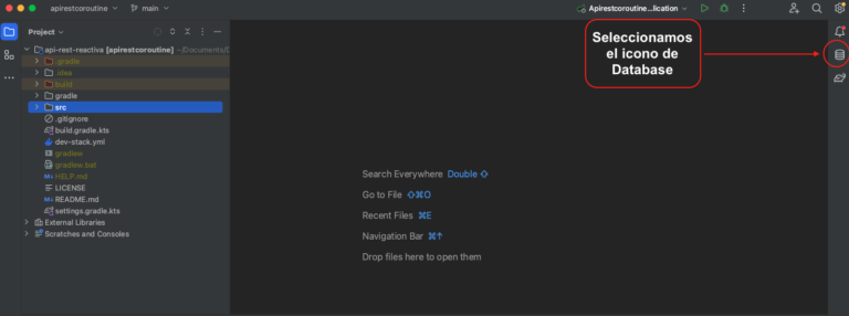 Figura #2: Ventana Database en IntelliJ IDEA